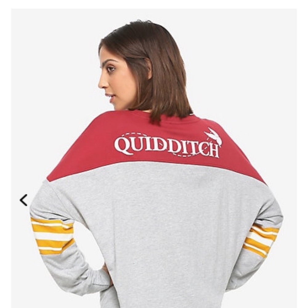 Harry Potter Quidditch long sleeve and hoodie
